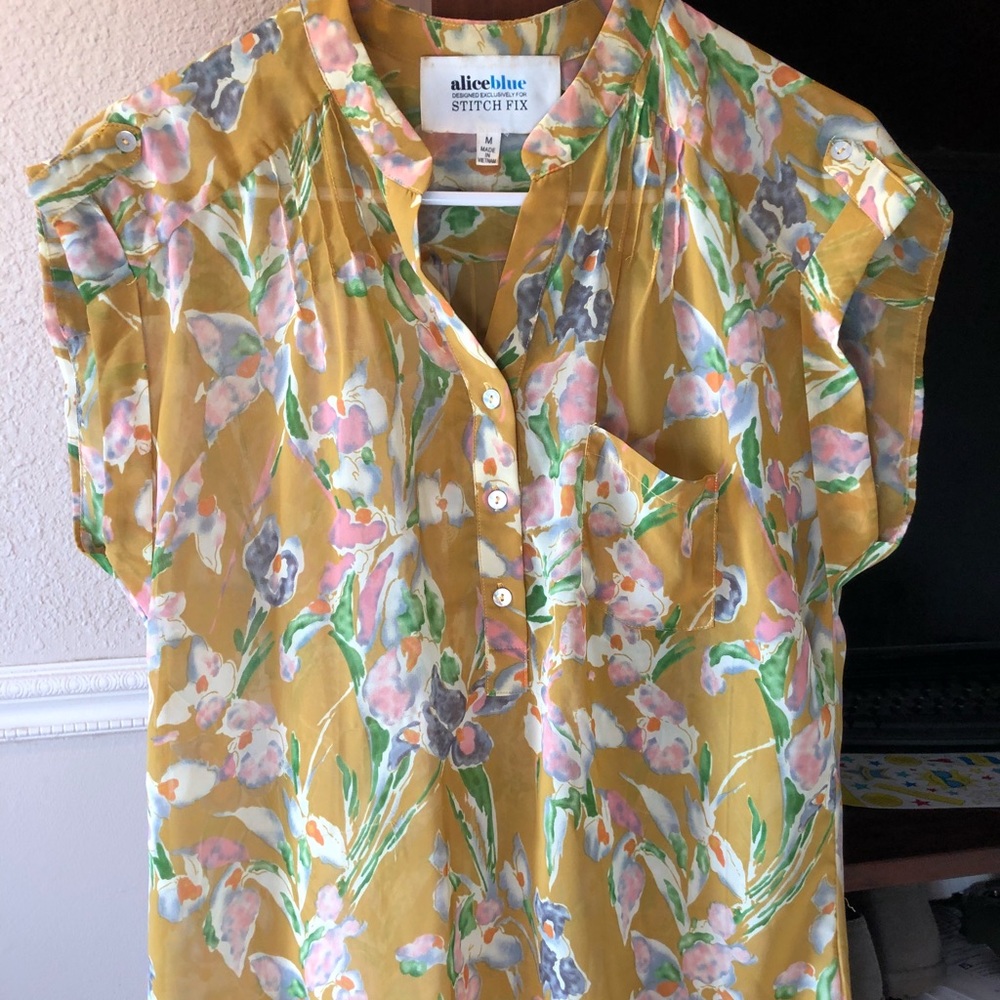 Alice Blue blouse